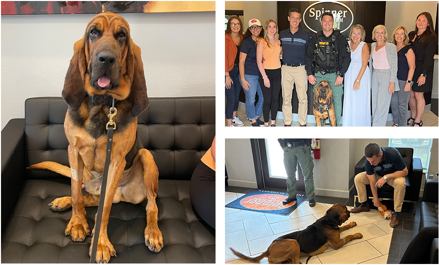 K-9 Spinner visits Spinner Law Firm